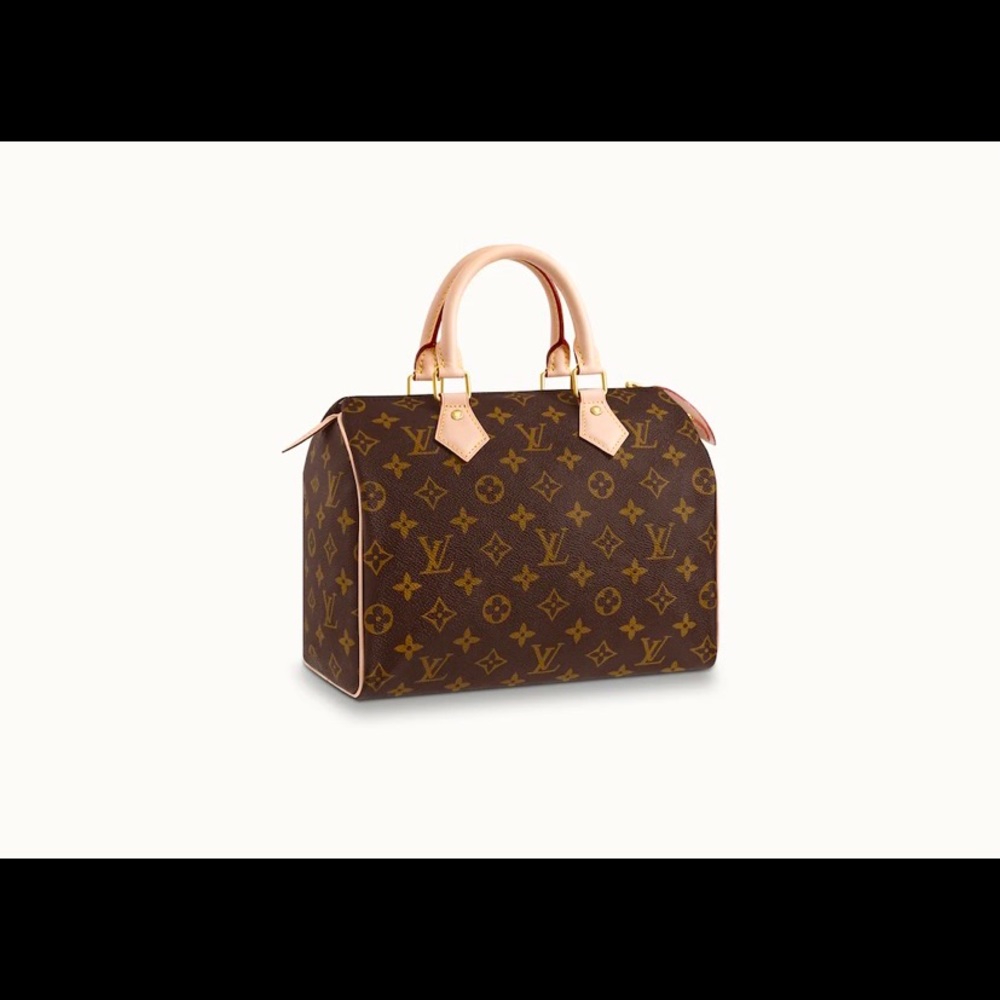 Louis Vuitton Speedy 25